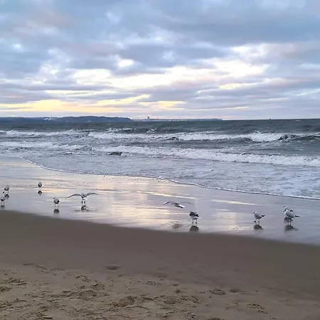 Blisko Morza アパート